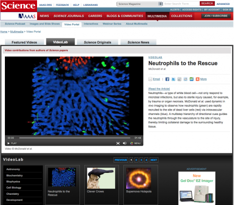 Screen shot of videolab.sciencemag.org