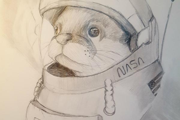 Otter wearing a space suit.