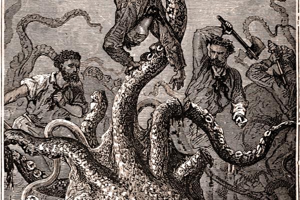 giant squid attacking sailor.